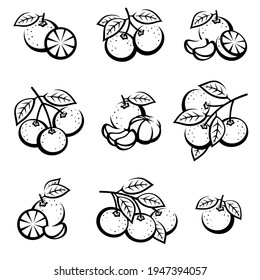 Mandarinensatz. Kollektionssymbole Mandarin. Vektorgrafik