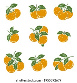 Mandarín. Iconos de colección mandarin. Vector