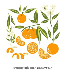 Mandarinensatz. Exotische tropische orangefarbene Zitrusfrüchte, saftige Tangerine mit grünen Blättern und Blumen, Slice und Orangenschale, Vektorgrafik im minimalistischen Stil, einzelne Illustration