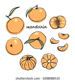 Mandarin/ Set of isolated sketchy style fruits and berries/ Doodle pencil drawn fruits in color/ Hand drawn vector illustration