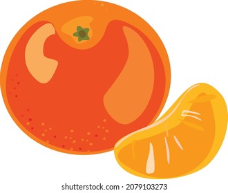 Mandarín y un trozo de mandarina. Ilustración del vector