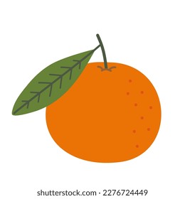 Mandarin, tangerine, clementine. Whole citrus fruit with leaf. Hand-drawn colored flat vector illustration isolated on white background.
