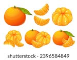 Mandarin, tangerine, clementine.A collection of ripe, juicy exotic fruits.Tangerine in slices, whole fruits.Vector illustration isolated on a white background.