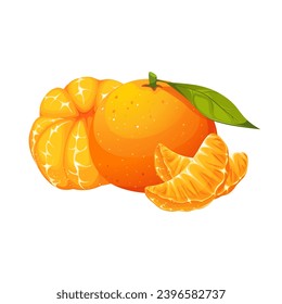 Mandarin, Tangerine, Clementine.Reife, saftige exotische Früchte.Tangerine in Scheiben, ganze Früchte.Vektorgrafik einzeln auf weißem Hintergrund.