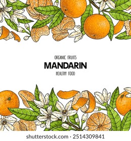 Mandarin oder Mandarine, handgezeichneter Hintergrund. Natürliche Zitruspflanzenzeichnung mit ganzer Mandarine, Scheiben, Hälften und Zweig. Muster für die Kennzeichnung von Lebensmitteln. Grafische Illustration der Botanischen Linie