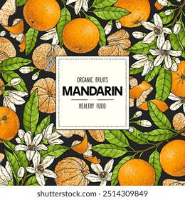 Mandarin or tangerine hand drawn background. Organic citrus plant drawing with unpeeled whole mandarin, slices, halves and branch. Template for food product label. Botanical sketch illustration