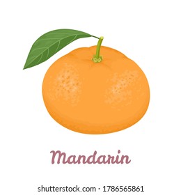 Mandarin or tangerine isolated on white background. Orange citrus with green leaf. Vector illustration of tropical fruit in cartoon flat style.