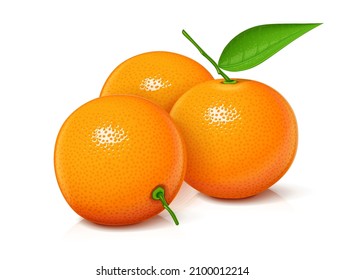 https://image.shutterstock.com/image-vector/mandarin-tangerine-sweet-ripe-fresh-260nw-2100012214.jpg