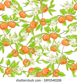 Mandarin, tangerine tree branch with fruits, flowers and leaves. Seamless pattern, background. Colored vector illustration. Isolated on white background..