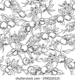 Mandarin, Tangerine Tree Branch With Fruits, Flowers And Leaves. Seamless Pattern, Background. Colored Vector Illustration. Isolated On White Background..