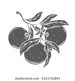 Mandarin tree branch glyph icon vector illustration. Stamp of twig with flowers, leaf and group of citrus fruit, tangerine or clementine, mandarin plant with leaves and blossom form summer garden