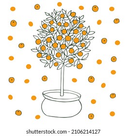 Mandarin Tree (tangerine Tree, Citrus Reticulata, Mandarin Orange, Robson) With Fruits. Hand Drawn Vector Illustration On White Background.