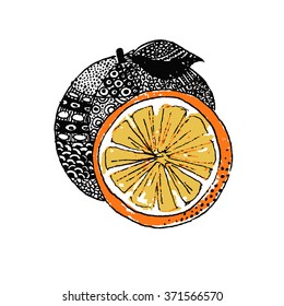 Mandarin, vector illustration