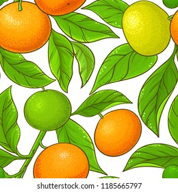 mandarin vector pattern