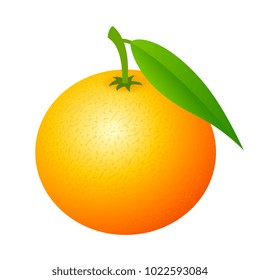 Mandarine fruit vector icon illustration isolated on white background