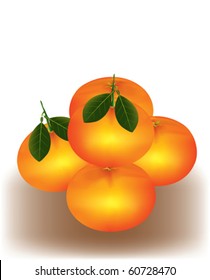 Mandarine orange on white background