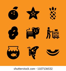 mandarine, vitamin, head and wing icon set. Vector illustration for web and design.