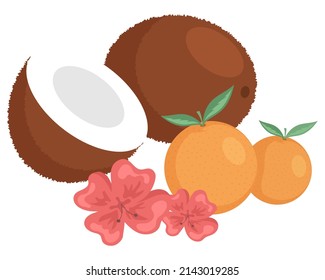 Mandarins and coconut broken in half. Orange juicy tangerines and coco nuts. Sweet and sour citrus isolated on white background, tropical fruits vector illustration. Vitamin organic exotic food