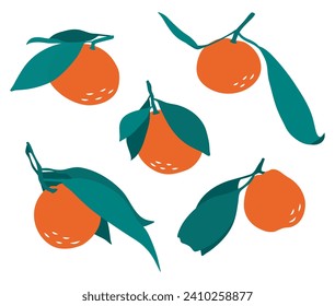 Mandarins with leaves in Flat style. Design elements. Citrus.