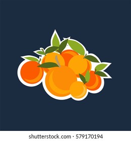 Mandarins. Vector illustration.