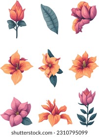 Mandevilla Flower Set, Watercolor Flower Vector Design Set