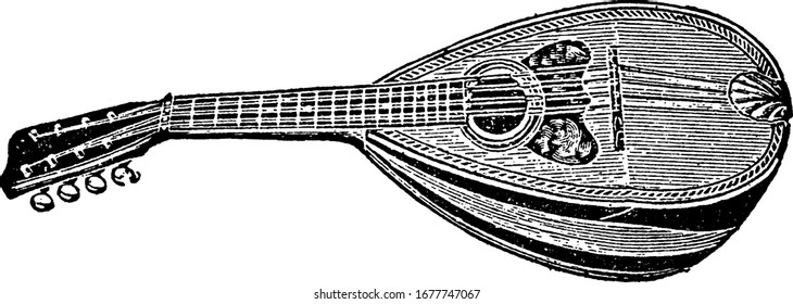 The mandolin, a stringed instrument of Italian origin, commonly has four courses of doubled metal strings tuned in unison (8 strings), vintage line drawing or engraving illustration.