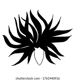 Mandragora (or Medusa Gorgon) head black on white isolated hand drawn element. Can be used for halloween, magical, mysterious design. Vector eps10 file