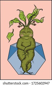 Mandrake in a blue vase. vector character with black outlines on pink background.