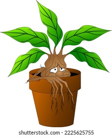 mandrake in a flower pot, character