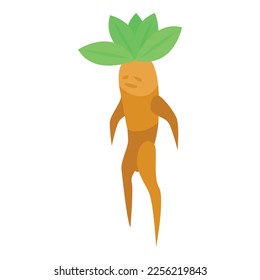 Mandrake icon isometric vector. Green leaf. Botany root