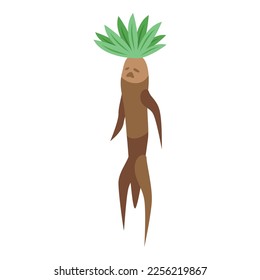 Mandrake plant icon isometric vector. Green leaf. Magic root