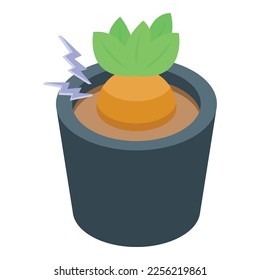 Icono de la olla de Mandrake vector isométrico. Planta botánica. Naturaleza de las flores