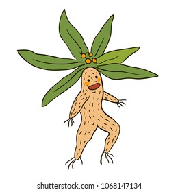 The Mandrake root goes for a walk. Vector illustration, design element