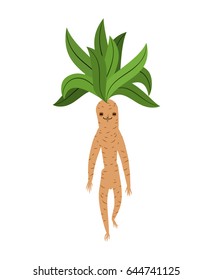 Mandrake root isolated. Legendary mystical plant in form of man.
