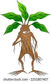 mandrake root with leaves, character