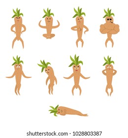 Mandrake root set poses and motion. Merry Legendary mystical plant in form of man. happy and yoga. sleeping and angry. guilty and sad