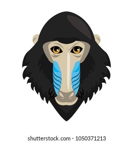 Mandrel monkey Wild animal