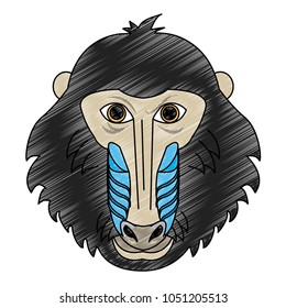 Mandrel monkey Wild animal