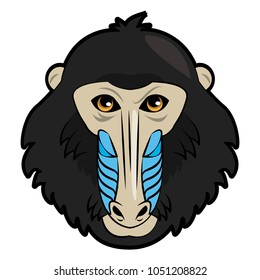 Mandrel monkey Wild animal