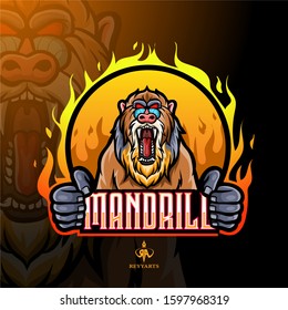 Mandrill baboon mascot esport logo design.