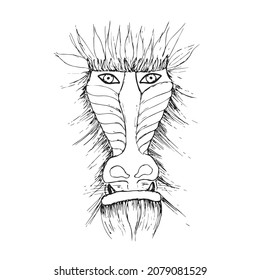 Mandrill, baboon's face. Baboon linear art vector