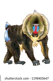 Mandrill Cartoon Illustration standing with angry face