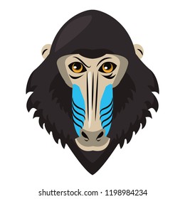 Mandrill face cool sketch