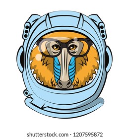 Mandrill face cool sketch