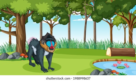 A mandrill in forest at daytime scene with many trees illustration