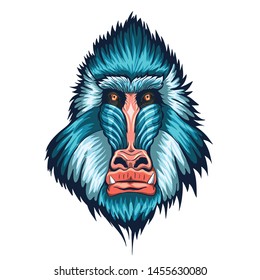 Mandrill Head illustration vector art