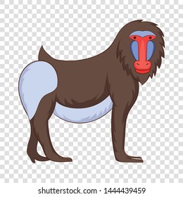 Mandrill icon. Cartoon illustration of mandrill vector icon for web