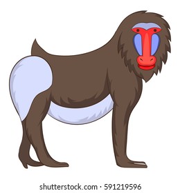 Mandrill icon. Cartoon illustration of mandrill vector icon for web