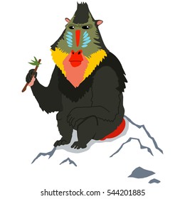 Mandrill monkey. Cartoon vector illustration of isolated on white background.