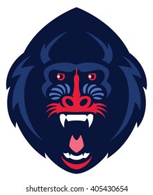 Mandrill monkey head